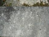 image of grave number 206437